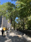 <b>沐鸣平台登录线路曼哈顿包办纽约</b>