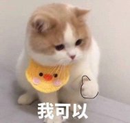 <b>沐鸣电脑客户端_华人夫妇花400万</b>