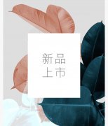 <b>沐鸣娱乐代理_VICI淋浴房EA3新品上</b>