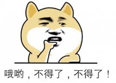 <b>沐鸣怎么注册_香港小哥花179万在</b>
